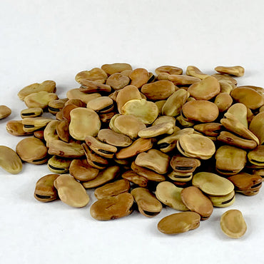 Dube Baqela | ዱኬ ባቄላ - Extra Large Fava Beans