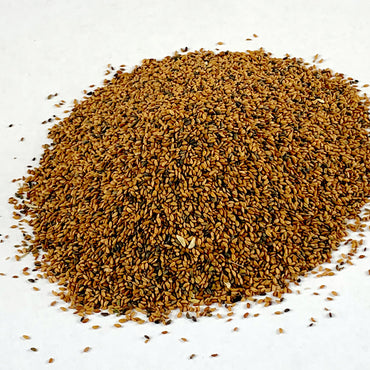 Feto | ፌጦ - Garden Cress/Seed