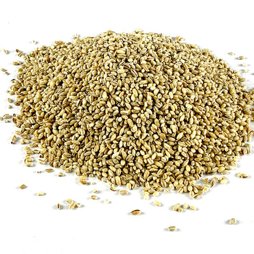 Ye'gebs kinche |  የገብስ ቅንጬ - Barely Bulgur