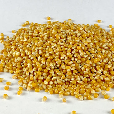 Fendisha | ፈንዲሻ (ፈኪ በቆሎ) - Popcorn Seed