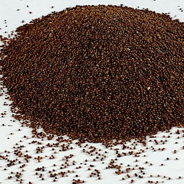 Senafich | ሰናፍጭ - Mustard (Seed)