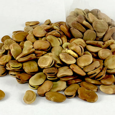 Dube Baqela | ዱኬ ባቄላ - Extra Large Fava Beans