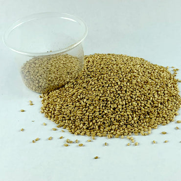 Sinde | ያልተፈጨ ስንዴ - Sunny Whole Wheat