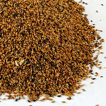 Feto | ፌጦ - Garden Cress/Seed
