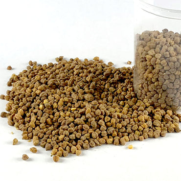 Difin Shimbira | ድፍን ሽምብራ - Whole Brown Chickpeas