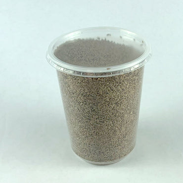 Telba | ተልባ - Flaxseed (Seed)