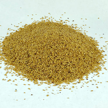 Bicha Telba | ቢጫ ተልባ - Golden Flaxseed