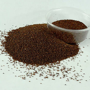 Senafich | ሰናፍጭ - Mustard (Seed)