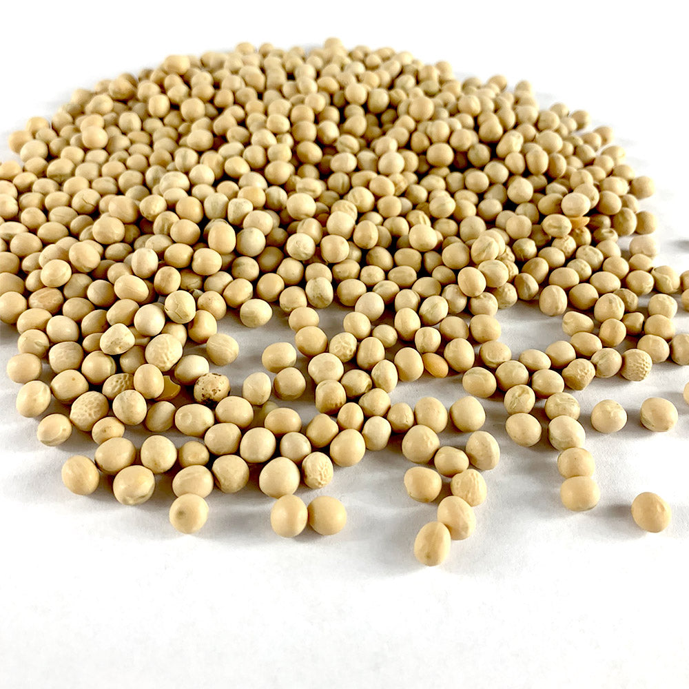 Difin Ater | ድፍን አተር - Whole Peas