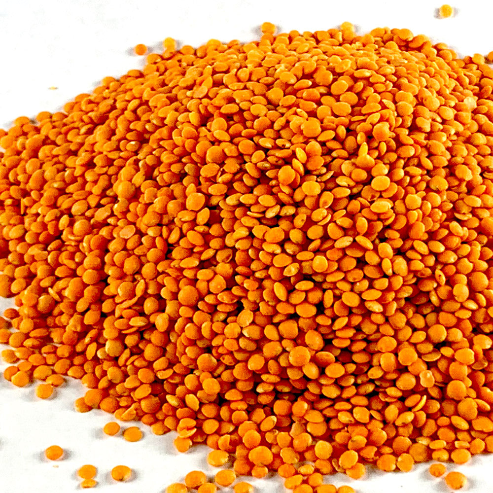 Yetelate Difin Misir | የተላጠ ድፍን ምስር - Peeled Whole Lentil
