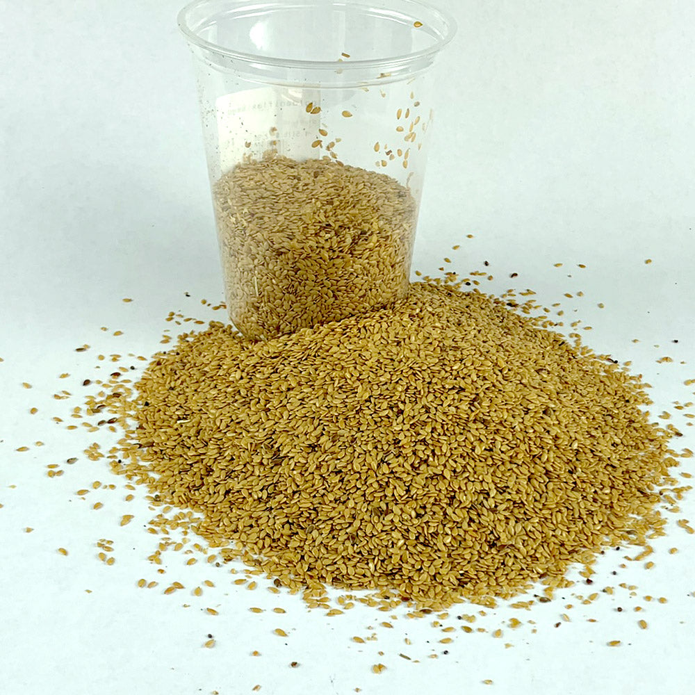 Bicha Telba | ቢጫ ተልባ - Golden Flaxseed