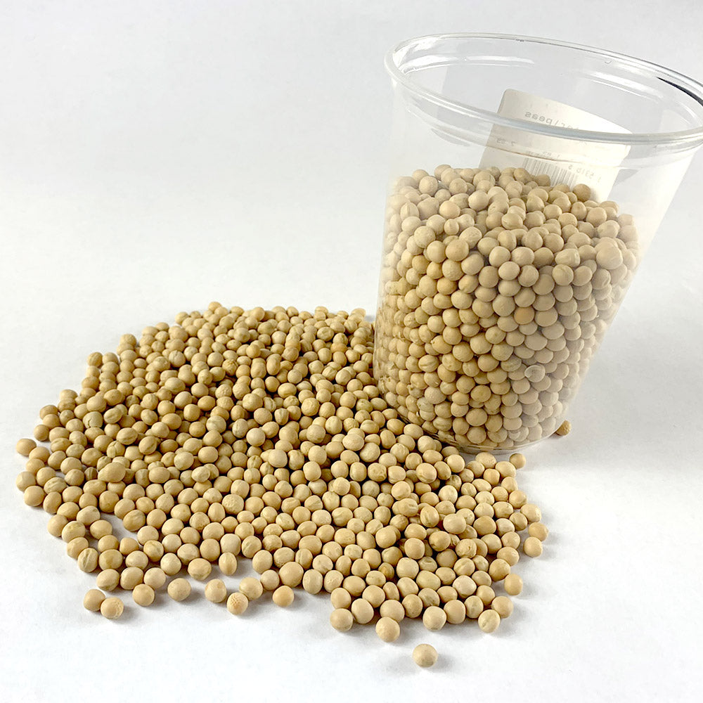 Difin Ater | ድፍን አተር - Whole Peas