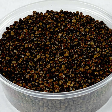 Korerima | ኮሮሪማ - Black Cardamom (Seed)