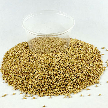 Sinde | ያልተፈጨ ስንዴ - Sunny Whole Wheat