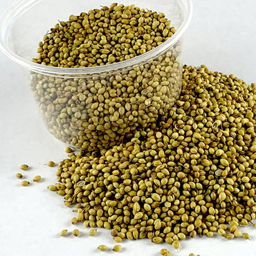 Dinbilal | ድንብላል - Coriander (Seed)