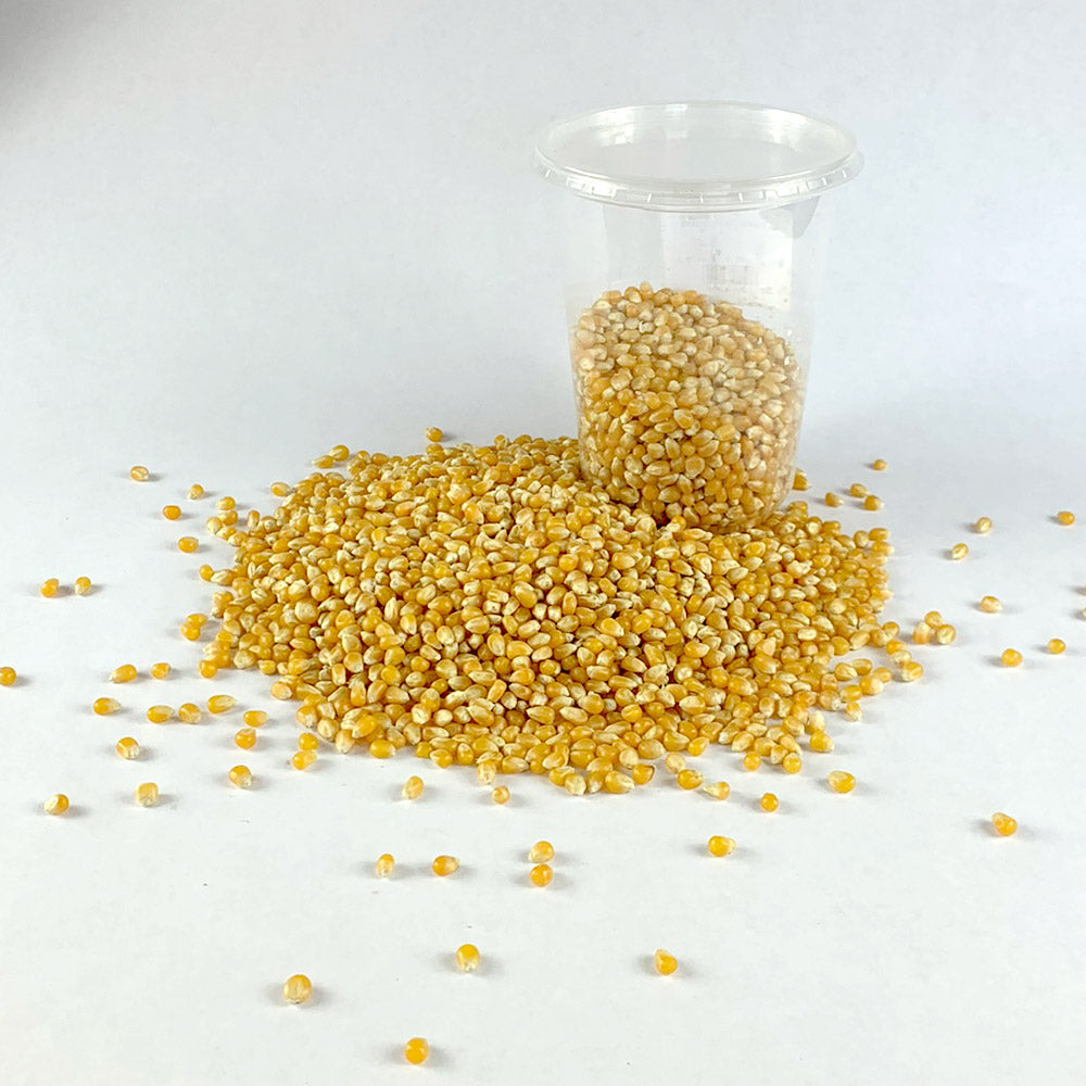 Fendisha | ፈንዲሻ (ፈኪ በቆሎ) - Popcorn Seed