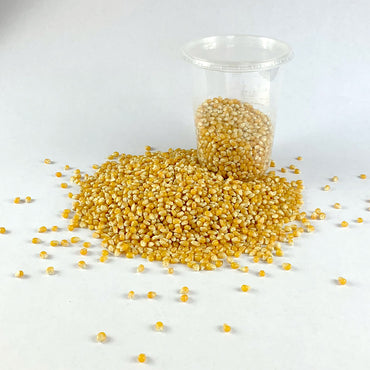 Fendisha | ፈንዲሻ (ፈኪ በቆሎ) - Popcorn Seed