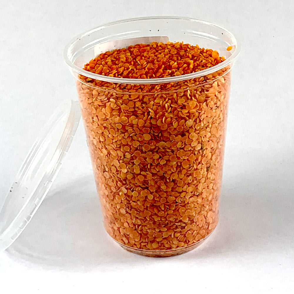 Ye'Turk Qey Misir | የቱርክ ቀይ ምስር - Turkey Red Lentil