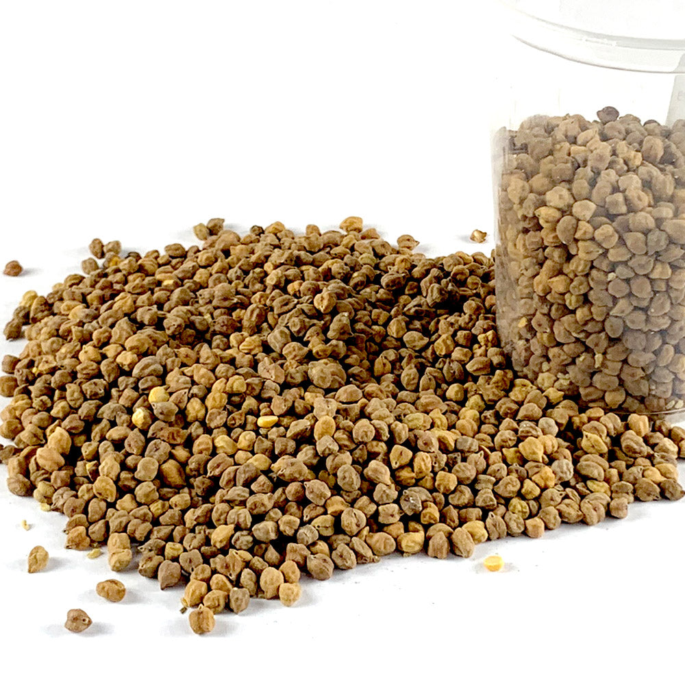 Difin Shimbira | ድፍን ሽምብራ - Whole Brown Chickpeas