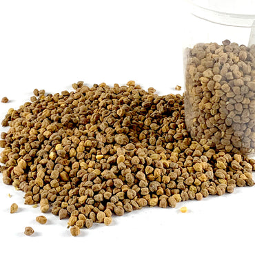 Difin Shimbira | ድፍን ሽምብራ - Whole Brown Chickpeas