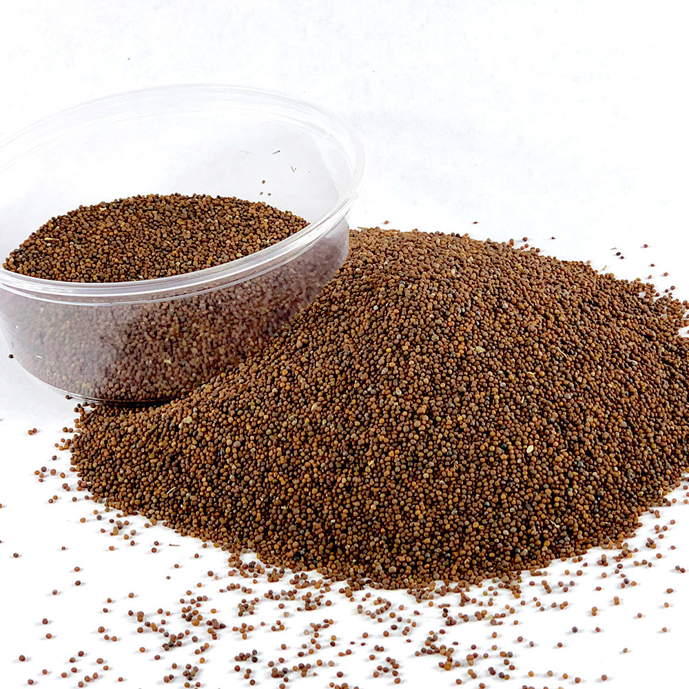 Senafich | ሰናፍጭ - Mustard (Seed)