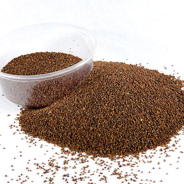 Senafich | ሰናፍጭ - Mustard (Seed)