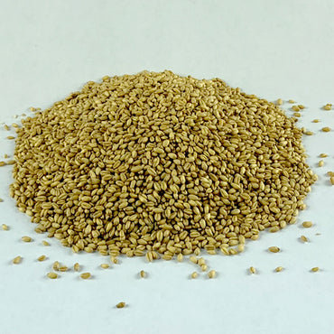 Sinde | ያልተፈጨ ስንዴ - Sunny Whole Wheat