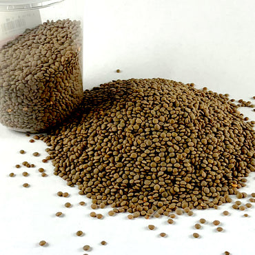 Difin Misir / ድፍን ምስር - Whole Lentil