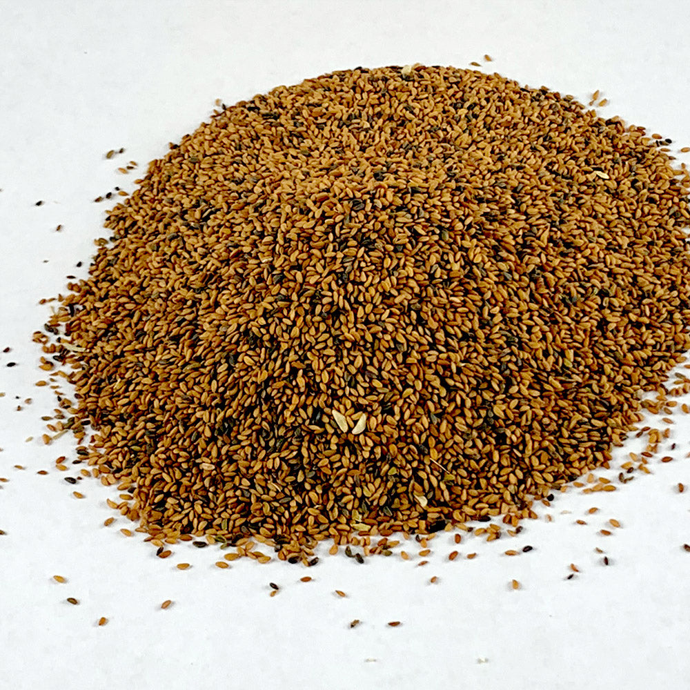 Feto | ፌጦ - Garden Cress/Seed