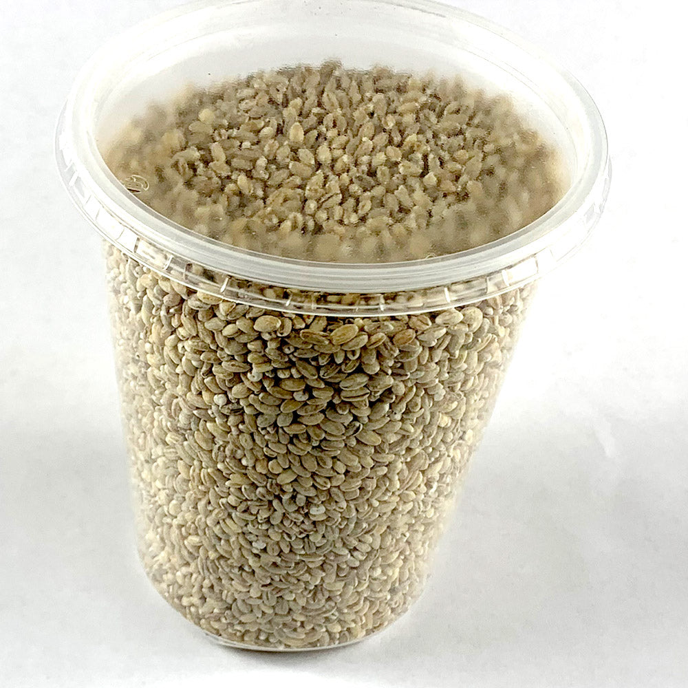 Ye'gebs kinche |  የገብስ ቅንጬ - Barely Bulgur