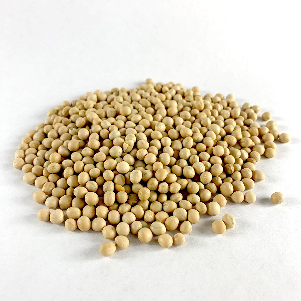 Difin Ater | ድፍን አተር - Whole Peas