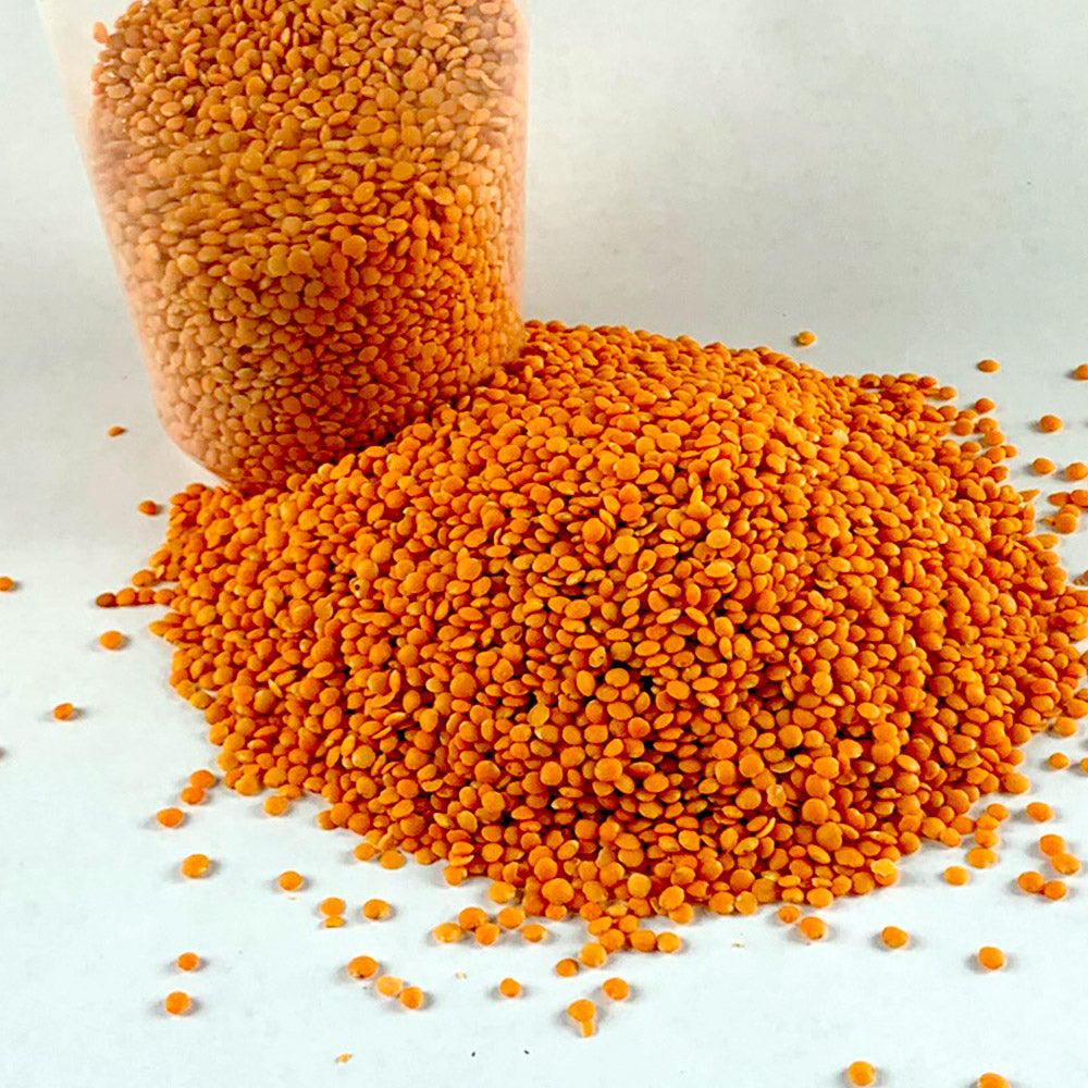 Yetelate Difin Misir | የተላጠ ድፍን ምስር - Peeled Whole Lentil