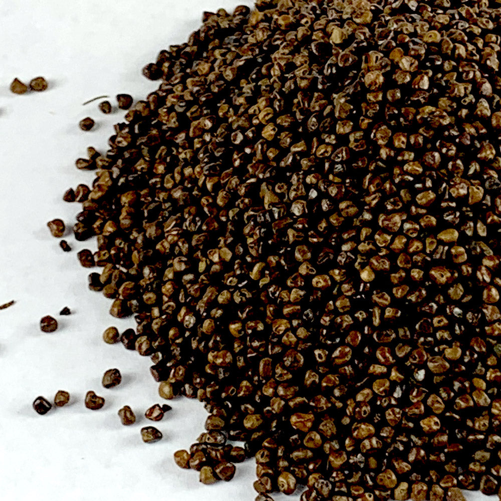 Korerima | ኮሮሪማ - Black Cardamom (Seed)