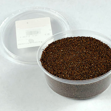 Senafich | ሰናፍጭ - Mustard (Seed)