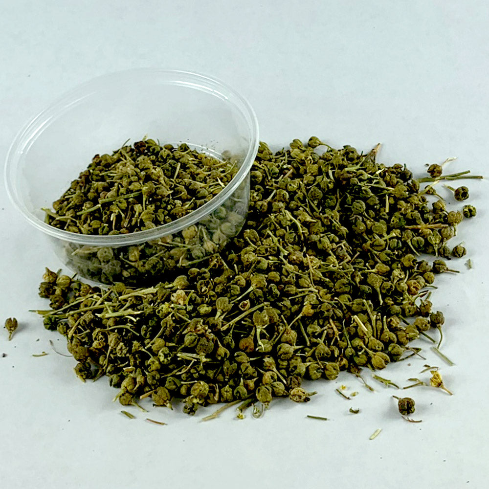 Tena'dam | ጤና አዳም - Garden Rue (Herb of Grace)