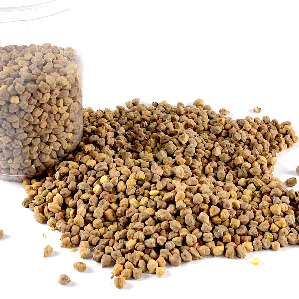 Difin Shimbira | ድፍን ሽምብራ - Whole Brown Chickpeas