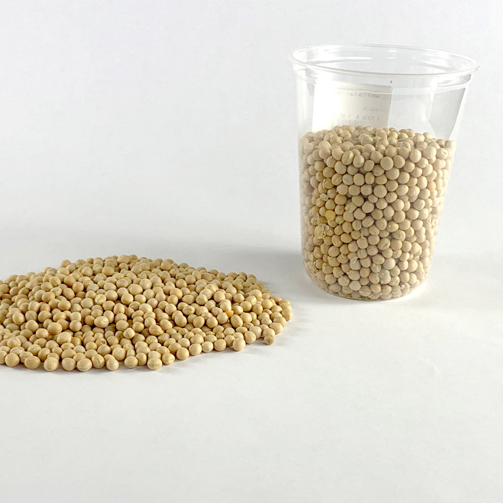 Difin Ater | ድፍን አተር - Whole Peas