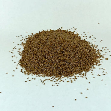Telba | ተልባ - Flaxseed (Seed)