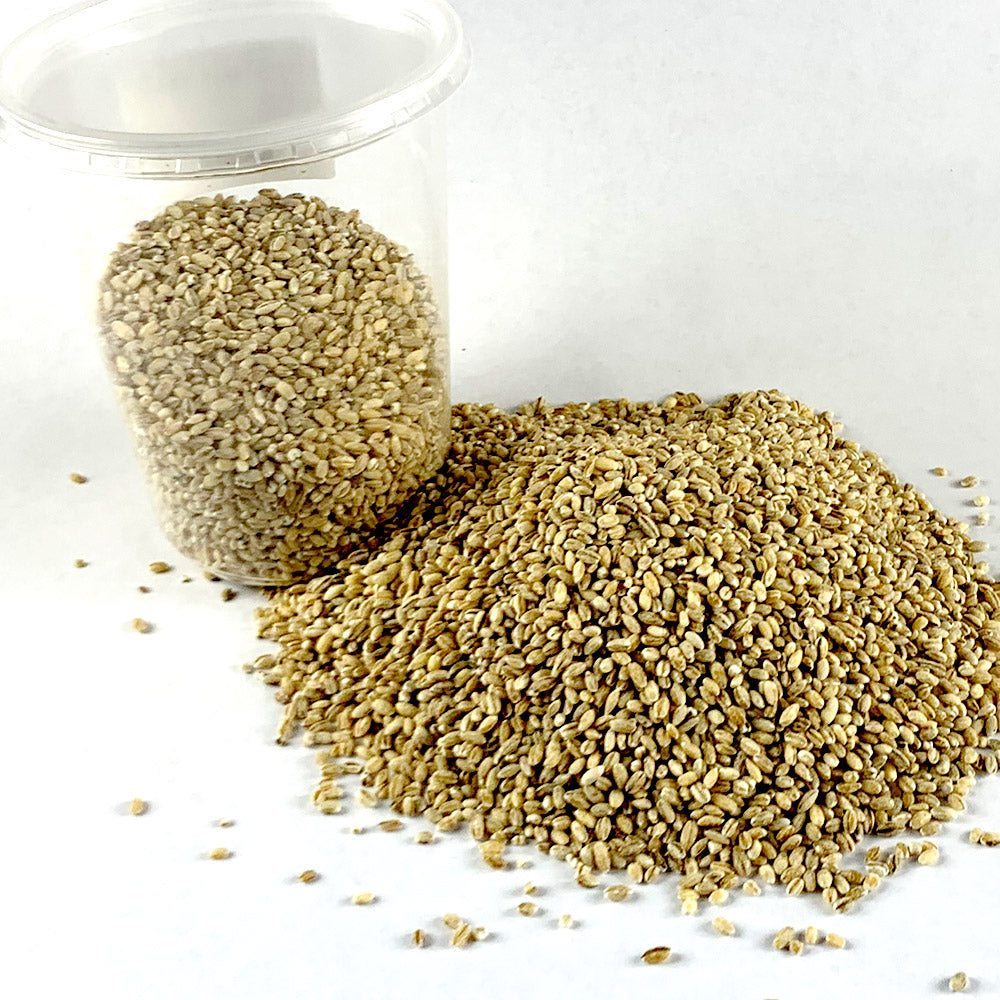 Ye'gebs kinche |  የገብስ ቅንጬ - Barely Bulgur